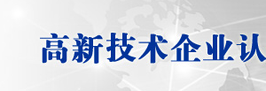 年度高新技术企业发展情况报表（示范文本）