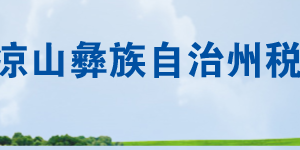 盐源县税务局办税服务厅办公时间地址及联系电话