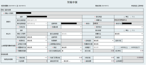 纳税人填写并保存报表后