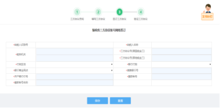 系统自动带出纳税人基本信息