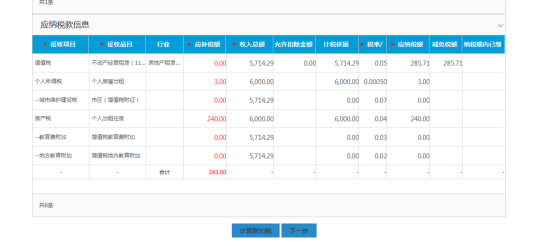 应纳税款信息