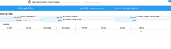 社保费欠税信息查询