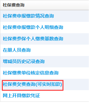 点击社保费欠费查询（可实时扣款）