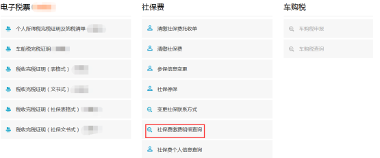 社保费缴费明细查询