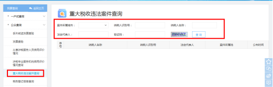 重大税收违法案件查询