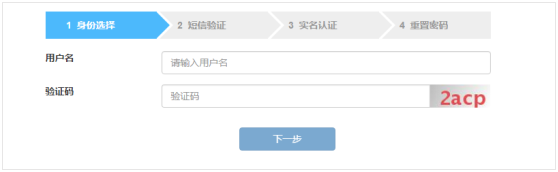 进入海南省电子税务局找回密码界面
