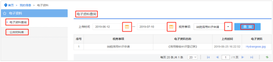 海南省电子税务局电子资料