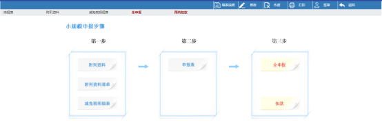 增值税小规模纳税人（非定期定额户）申报页面