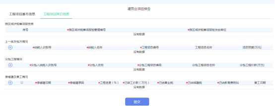 工程项目其他信息