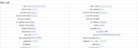 纳税人信息