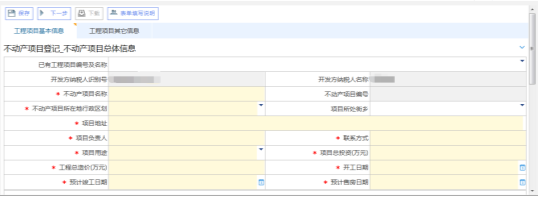 填写不动产项目报告信息