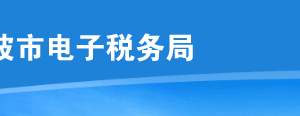 如何登录宁波市电子税务局？