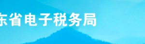 2019年9月山东省电子税务局常见问题汇总（一）