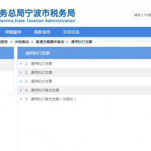 宁波市电子税务局普通发票票样查询操作流程说明