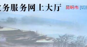 富民县各镇政务服网入口及业务咨询电话