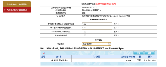 查看审计报告书详细信息