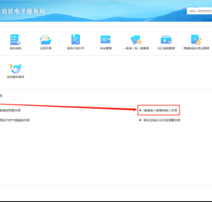 宁夏电子税务局入口及增值税小规模申报流程说明