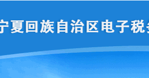 怎么在宁夏电子税务局做财务会计制度备案？