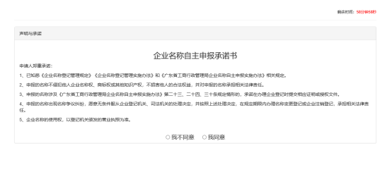 企业名称自主申报承诺书