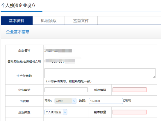 准确录入个人独资公司基本信息