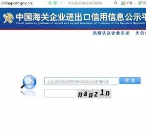 如何查询海关年报是否报送成功流程说明