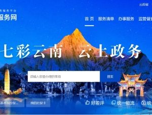云南省政务服务网入口及企业用户无法正常登录操作说明