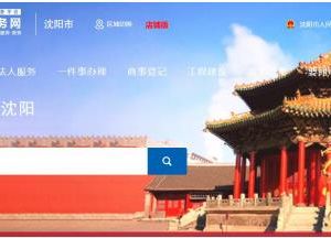 沈阳市政务服务网用户注册及申报功能操作说明
