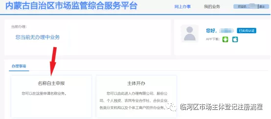 名称自主申报