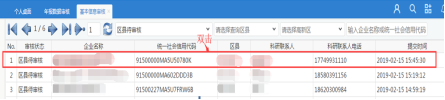 双击某一行企业进入审核详情页