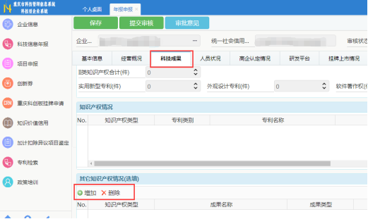 科技成果-其他知识产权情况