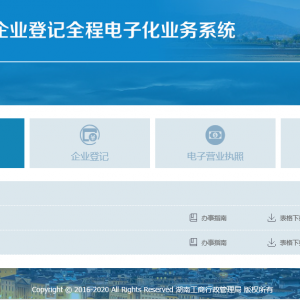 湖南省企业登记全程电子化业务系统名称自主申报流程说明