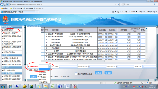 综合申报表页面