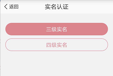 实名等级