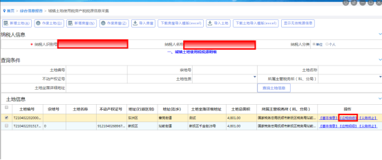 点击土地信息中的“应税明细”按钮