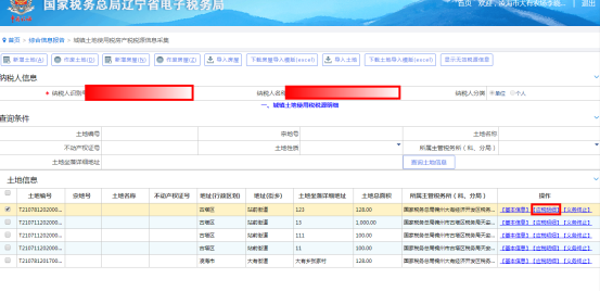 应税明细信息维护页