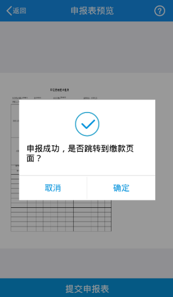 提交申报表