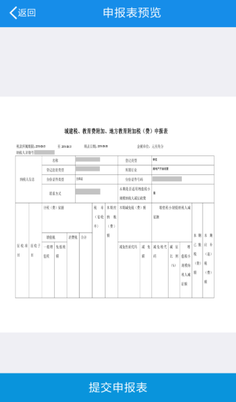 生成申报表