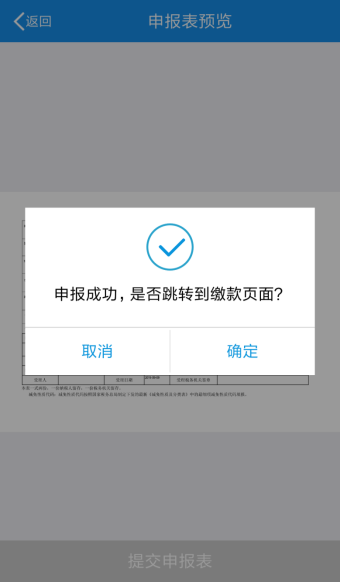 提交申报表