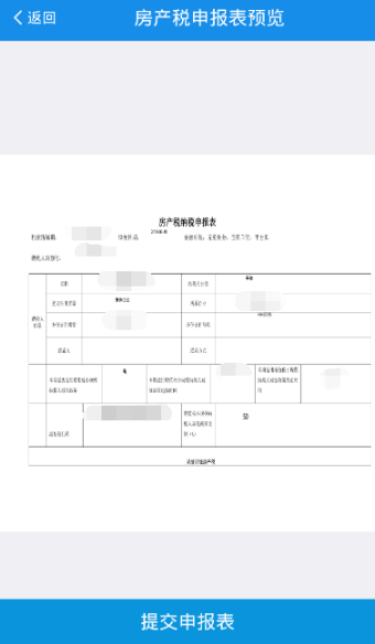 生成申报表