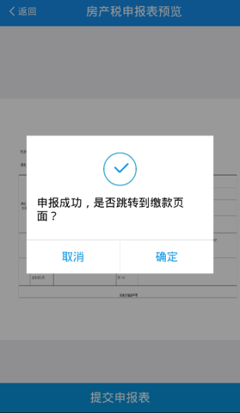 提交申报表