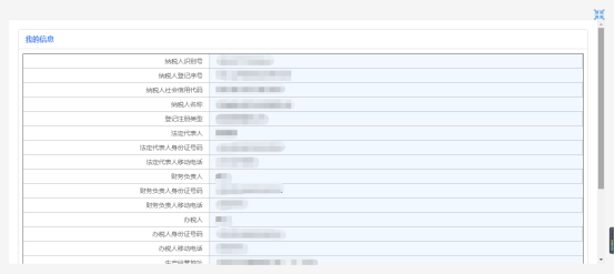 纳税人信息
