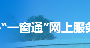 河北省“一窗通办”网上服务系统入口及用户操作流程说明