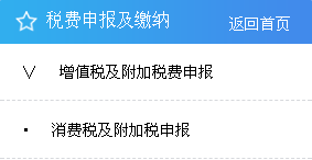 消费税及附加税申报