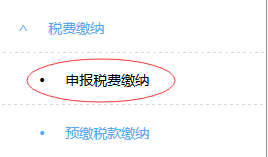 申报税费缴纳