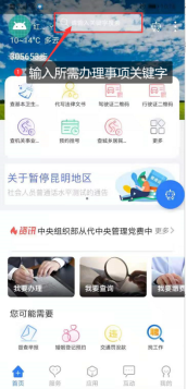 首页直接搜索所需办理事项名称