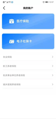 查看电子社保卡