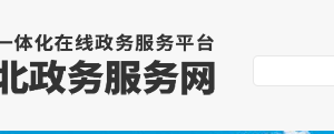 安国市政务服务网网上办事大厅入口