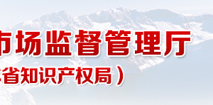 吉林省市场主体e窗通系统税务信息采集和税务业务办理指南