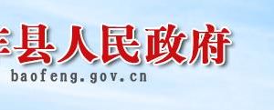 宝丰县行政服务中心办事大厅窗口预约咨询电话
