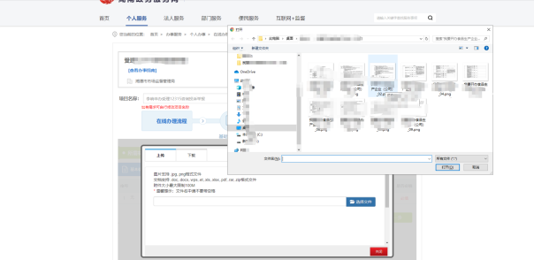 提交申请材料